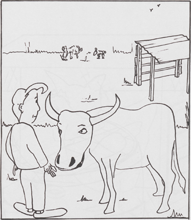 illustratie