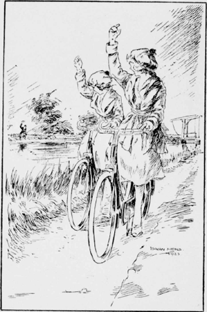 illustratie
