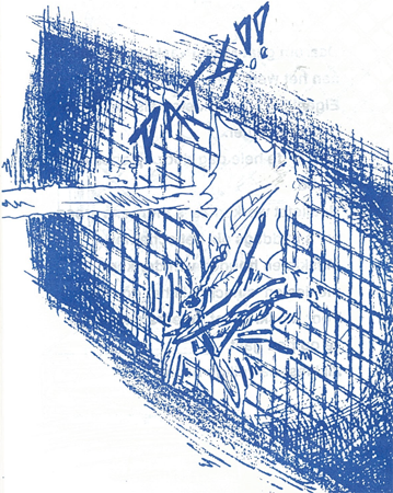 illustratie