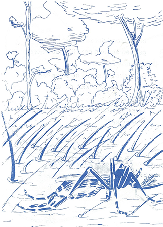 illustratie