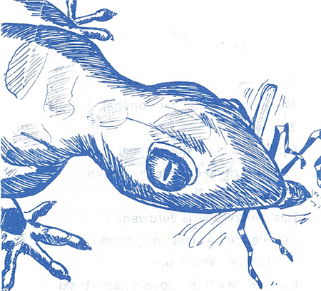 illustratie