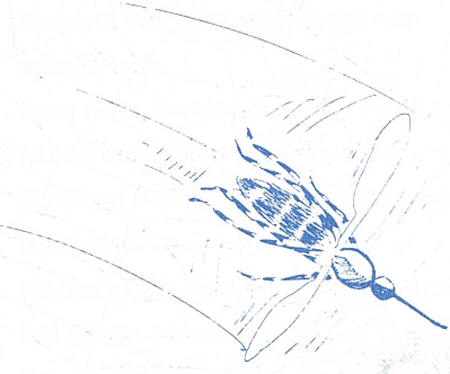 illustratie