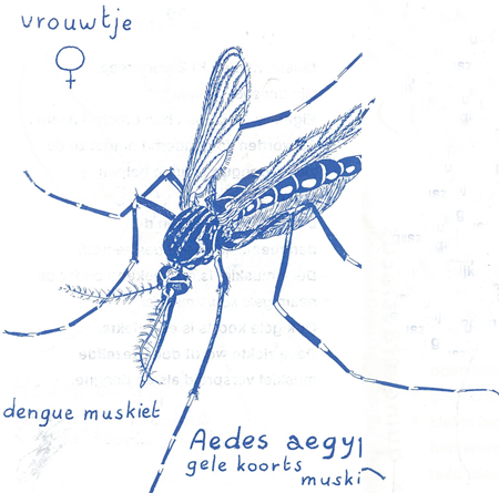 illustratie