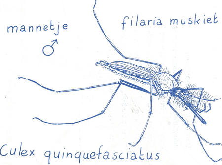 illustratie