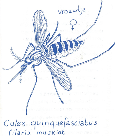 illustratie