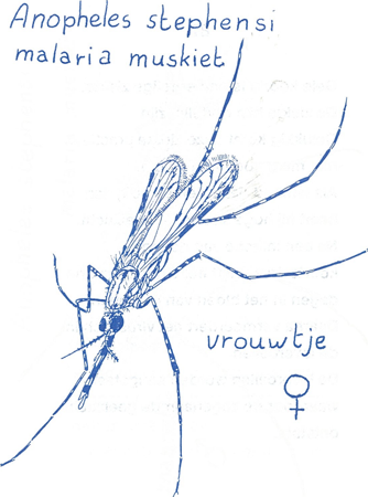 illustratie