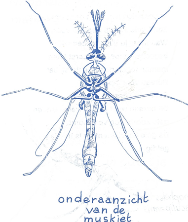 illustratie