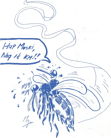 illustratie