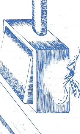 illustratie