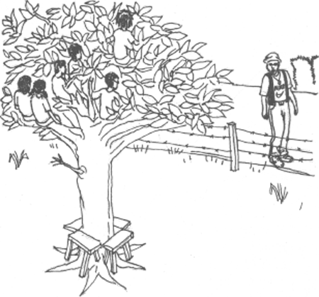 illustratie