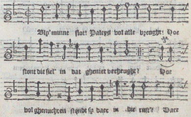 illustratie