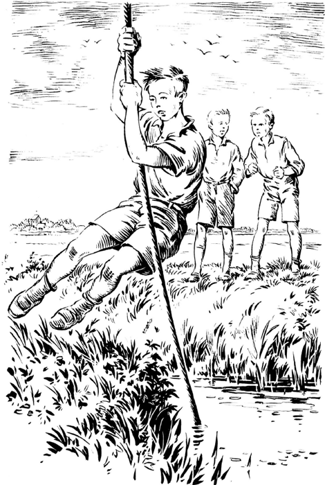 illustratie