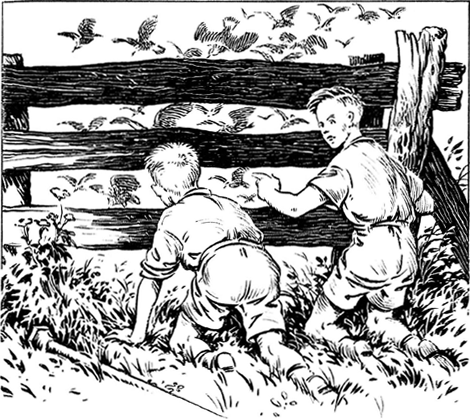 illustratie