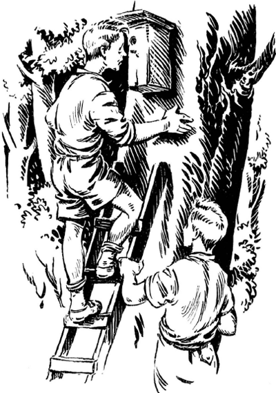 illustratie