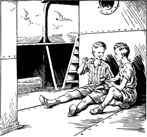 illustratie