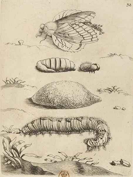 illustratie