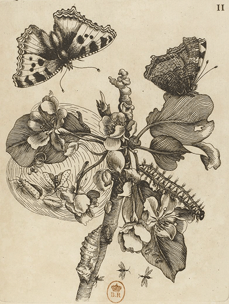 illustratie