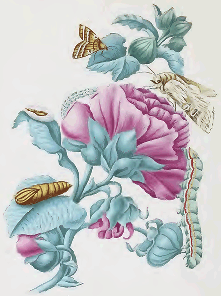 illustratie