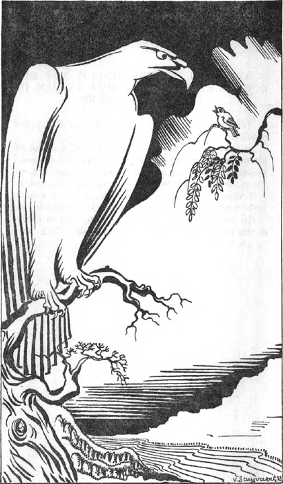 illustratie