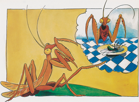 illustratie
