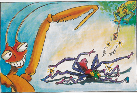 illustratie