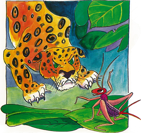 illustratie
