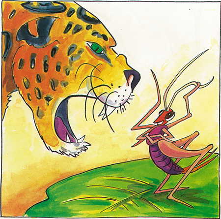 illustratie