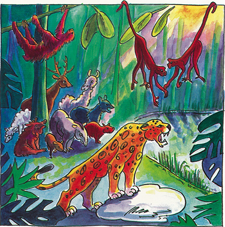 illustratie