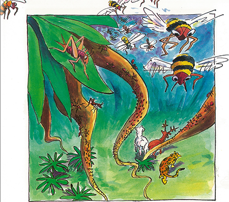 illustratie