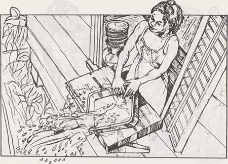 illustratie