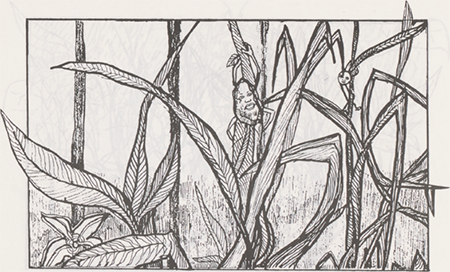 illustratie