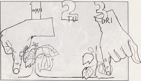 illustratie