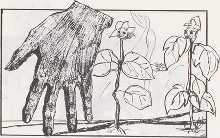 illustratie