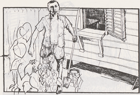 illustratie