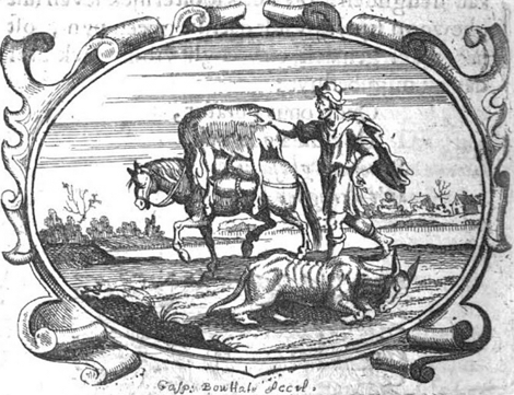 illustratie