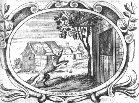 illustratie