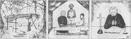 illustratie