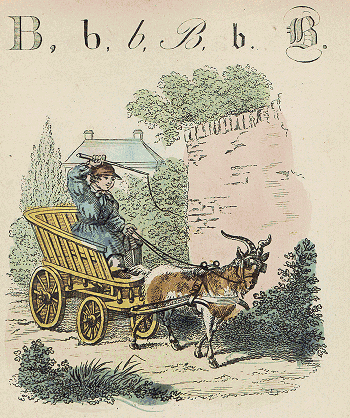 illustratie