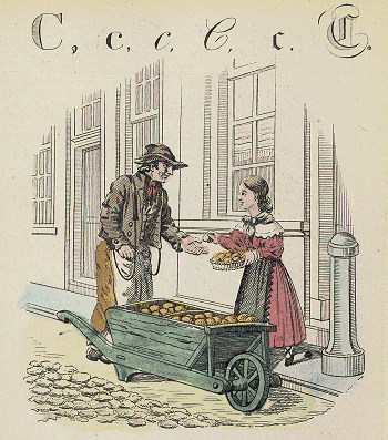 illustratie
