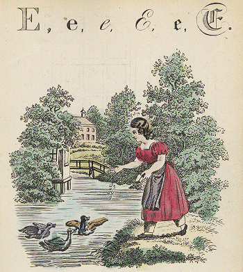 illustratie