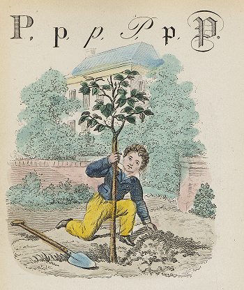 illustratie