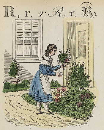 illustratie