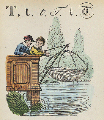illustratie