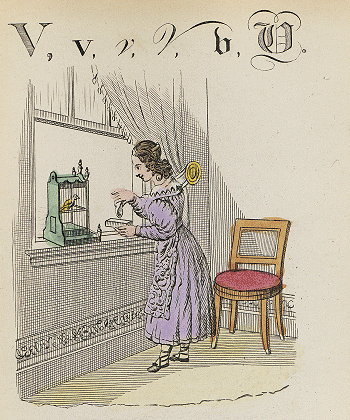 illustratie