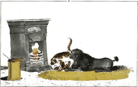 illustratie