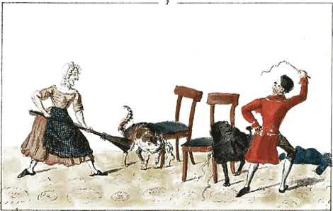 illustratie