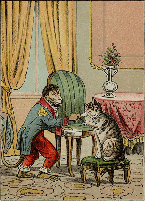illustratie