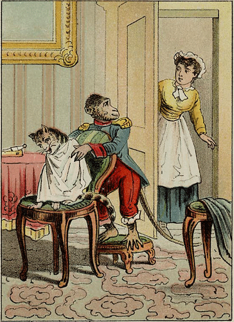 illustratie