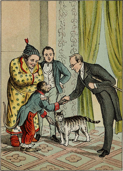 illustratie