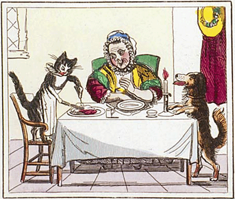 illustratie